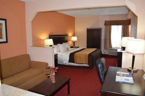 Imagen de la habitación del Hotel Comfort Inn & Suites, Lincoln. Foto 3