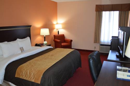 Imagen de la habitación del Hotel Comfort Inn & Suites, Lincoln. Foto 4