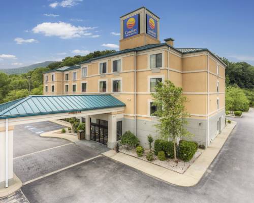 Imagen de la habitación del Hotel Comfort Inn & Suites Lookout Mountain. Foto 2