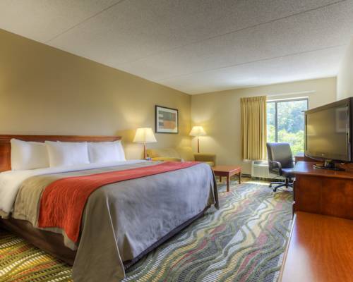 Imagen general del Hotel Comfort Inn & Suites Lookout Mountain. Foto 1