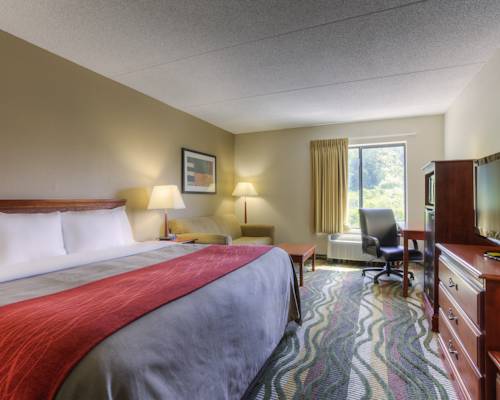 Imagen de la habitación del Hotel Comfort Inn & Suites Lookout Mountain. Foto 5
