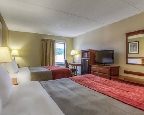 Imagen de la habitación del Hotel Comfort Inn & Suites Lookout Mountain. Foto 7