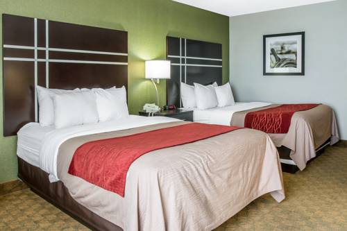 Imagen de la habitación del Hotel Comfort Inn & Suites Maumee - Toledo - I80-90. Foto 4