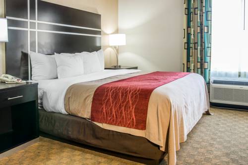 Imagen de la habitación del Hotel Comfort Inn & Suites Maumee - Toledo - I80-90. Foto 6