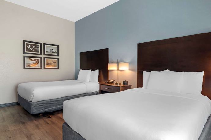 Imagen de la habitación del Hotel Comfort Inn & Suites Melbourne-Viera. Foto 13