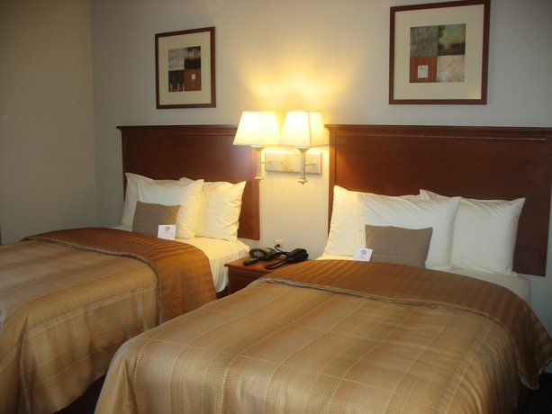 Imagen de la habitación del Hotel Comfort Inn & Suites Memphis Germantown. Foto 5