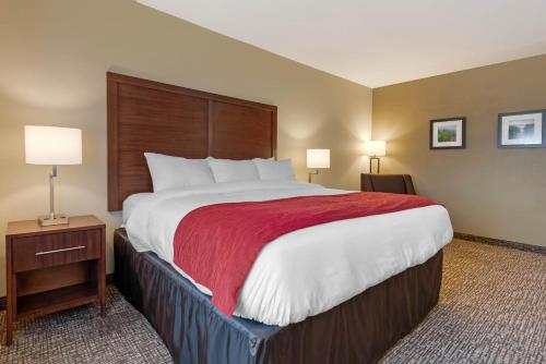 Imagen de la habitación del Hotel Comfort Inn & Suites, Michigan City. Foto 11