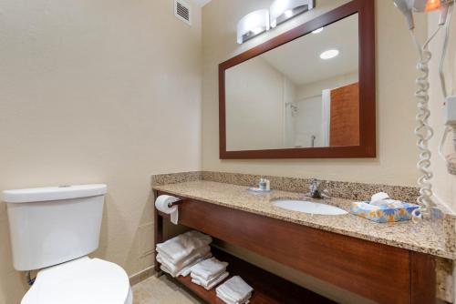 Imagen de la habitación del Hotel Comfort Inn & Suites, Michigan City. Foto 14