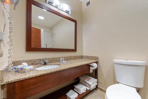 Imagen de la habitación del Hotel Comfort Inn & Suites, Michigan City. Foto 17