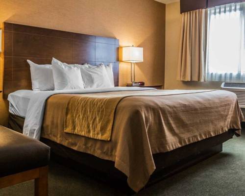 Imagen de la habitación del Hotel Comfort Inn & Suites Montpelier-Berlin. Foto 6