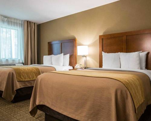 Imagen de la habitación del Hotel Comfort Inn & Suites Montpelier-Berlin. Foto 8