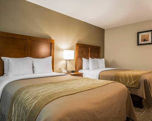 Imagen de la habitación del Hotel Comfort Inn & Suites Montpelier-Berlin. Foto 13