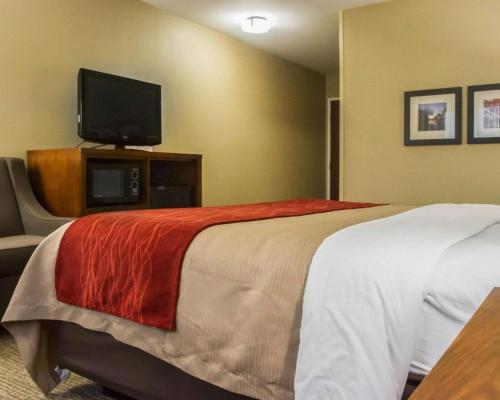 Imagen general del Hotel Comfort Inn & Suites Morgan City. Foto 1