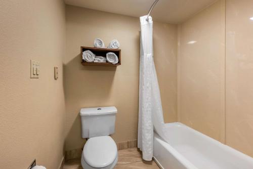 Imagen de la habitación del Hotel Comfort Inn & Suites, Morgan Hill. Foto 7