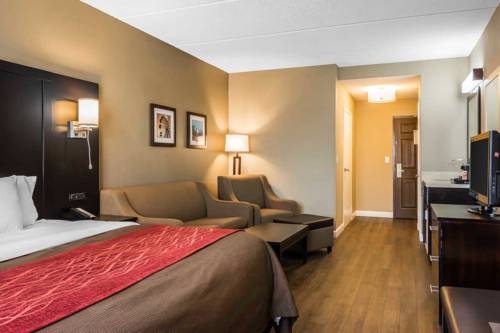 Imagen de la habitación del Hotel Comfort Inn & Suites Near Six Flags. Foto 2