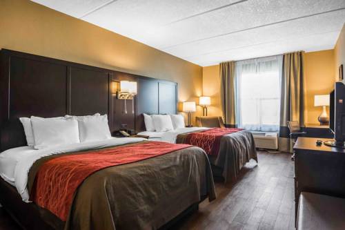 Imagen de la habitación del Hotel Comfort Inn & Suites Near Six Flags. Foto 6