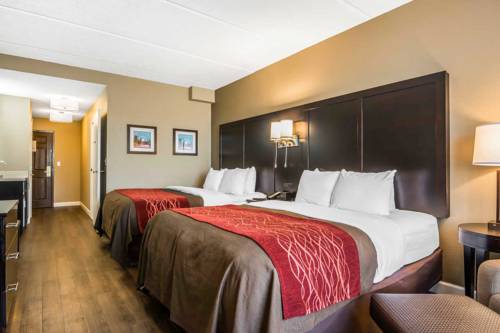 Imagen de la habitación del Hotel Comfort Inn & Suites Near Six Flags. Foto 7