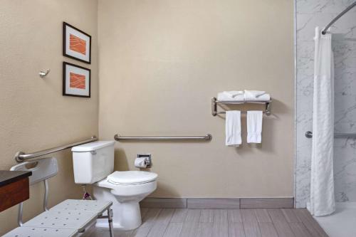 Imagen de la habitación del Hotel Comfort Inn & Suites Newark. Foto 8