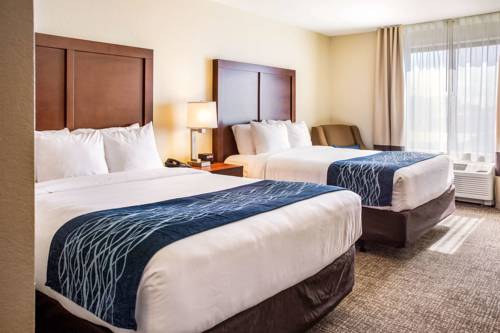 Imagen de la habitación del Hotel Comfort Inn & Suites Niagara Falls. Foto 6