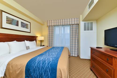 Imagen de la habitación del Hotel Comfort Inn & Suites Norfolk Airport South Virgini. Foto 4