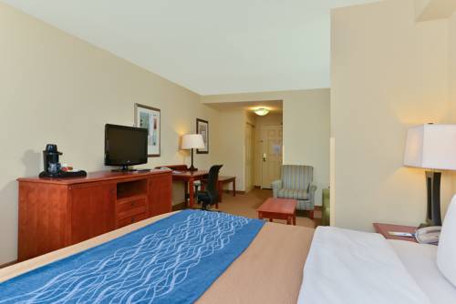 Imagen de la habitación del Hotel Comfort Inn & Suites Norfolk Airport South Virgini. Foto 6