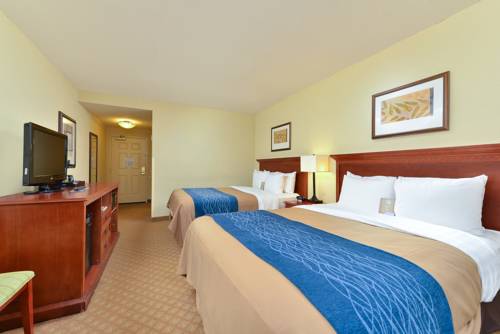 Imagen de la habitación del Hotel Comfort Inn & Suites Norfolk Airport South Virgini. Foto 8