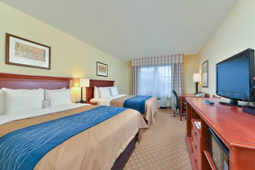 Imagen de la habitación del Hotel Comfort Inn & Suites Norfolk Airport South Virgini. Foto 10