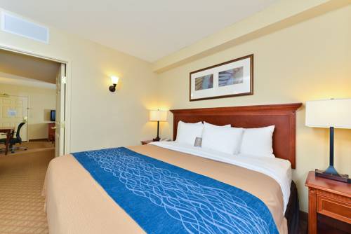 Imagen de la habitación del Hotel Comfort Inn & Suites Norfolk Airport South Virgini. Foto 12