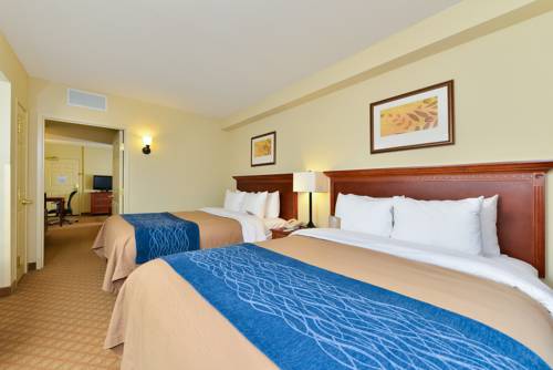 Imagen de la habitación del Hotel Comfort Inn & Suites Norfolk Airport South Virgini. Foto 13