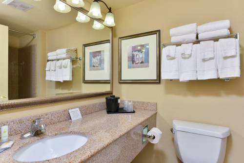 Imagen general del Hotel Comfort Inn & Suites Norfolk Airport South Virgini. Foto 1