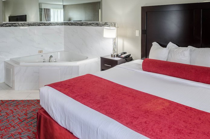 Imagen de la habitación del Hotel Comfort Inn & Suites North Charleston - Northwoods. Foto 12