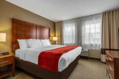 Imagen general del Hotel Comfort Inn & Suites, North Conway. Foto 4