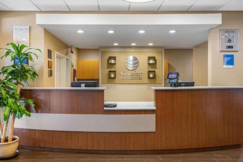 Imagen general del Hotel Comfort Inn & Suites, North Conway. Foto 5
