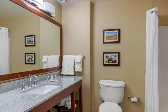 Imagen de la habitación del Hotel Comfort Inn & Suites Northern Kentucky. Foto 2