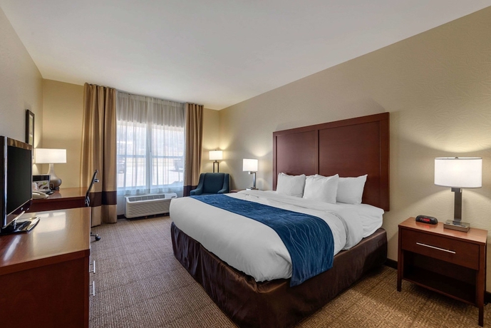 Imagen de la habitación del Hotel Comfort Inn & Suites Northern Kentucky. Foto 12