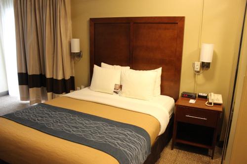Imagen de la habitación del Hotel Comfort Inn & Suites Ocean Shores. Foto 4