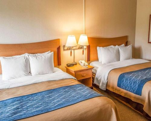Imagen de la habitación del Hotel Comfort Inn & Suites Ocean Shores. Foto 5