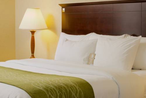 Imagen de la habitación del Hotel Comfort Inn & Suites Philadelphia Premium Outlets. Foto 4