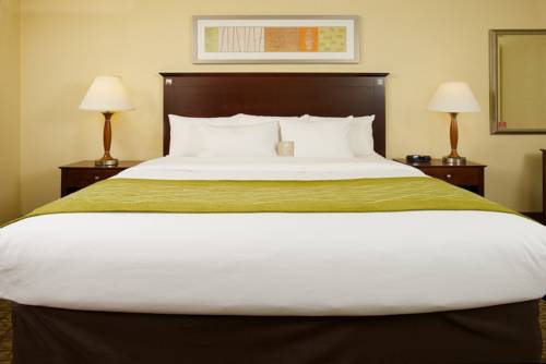 Imagen de la habitación del Hotel Comfort Inn & Suites Philadelphia Premium Outlets. Foto 5
