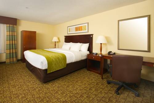 Imagen de la habitación del Hotel Comfort Inn & Suites Philadelphia Premium Outlets. Foto 9
