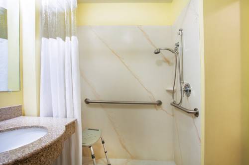 Imagen de la habitación del Hotel Comfort Inn & Suites Port Charlotte-Punta Gorda. Foto 10