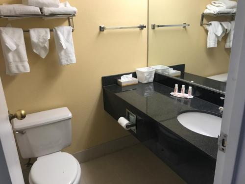 Imagen de la habitación del Hotel Comfort Inn & Suites Pottstown Eastern Gateway. Foto 3