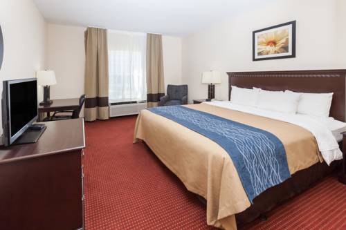 Imagen de la habitación del Hotel Comfort Inn & Suites River City Decatur. Foto 1