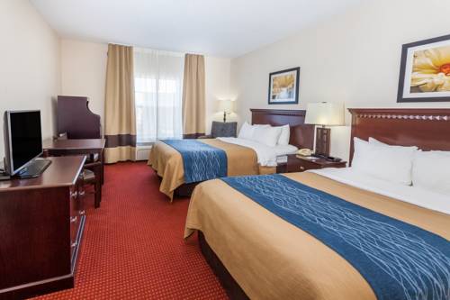 Imagen de la habitación del Hotel Comfort Inn & Suites River City Decatur. Foto 2
