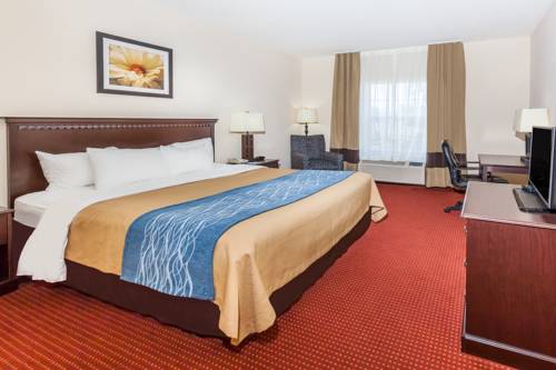 Imagen de la habitación del Hotel Comfort Inn & Suites River City Decatur. Foto 3