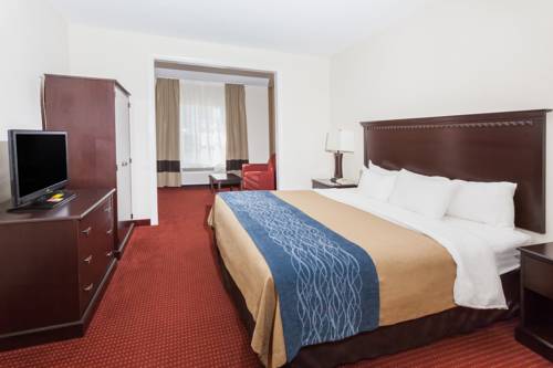 Imagen de la habitación del Hotel Comfort Inn & Suites River City Decatur. Foto 5