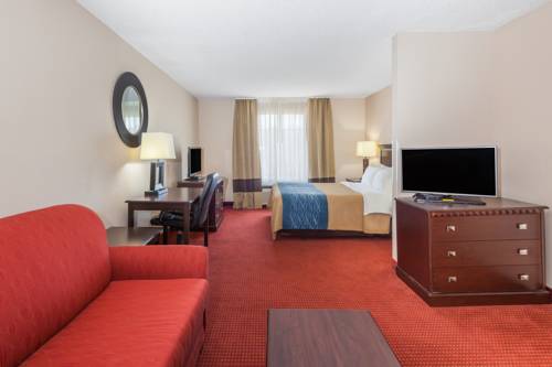 Imagen de la habitación del Hotel Comfort Inn & Suites River City Decatur. Foto 6