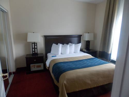 Imagen de la habitación del Hotel Comfort Inn & Suites River City Decatur. Foto 9