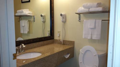 Imagen de la habitación del Hotel Comfort Inn & Suites River City Decatur. Foto 10