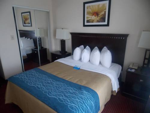 Imagen de la habitación del Hotel Comfort Inn & Suites River City Decatur. Foto 11